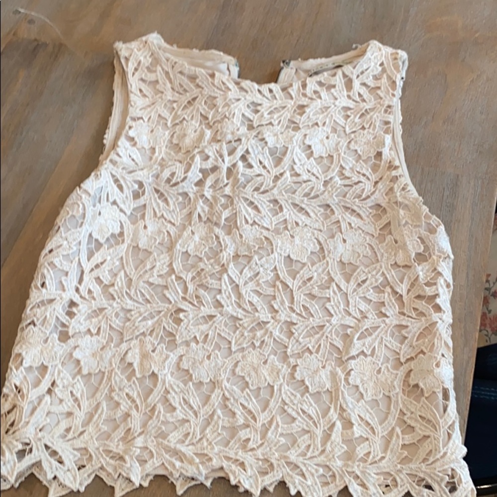 Alice and Olivia shirt